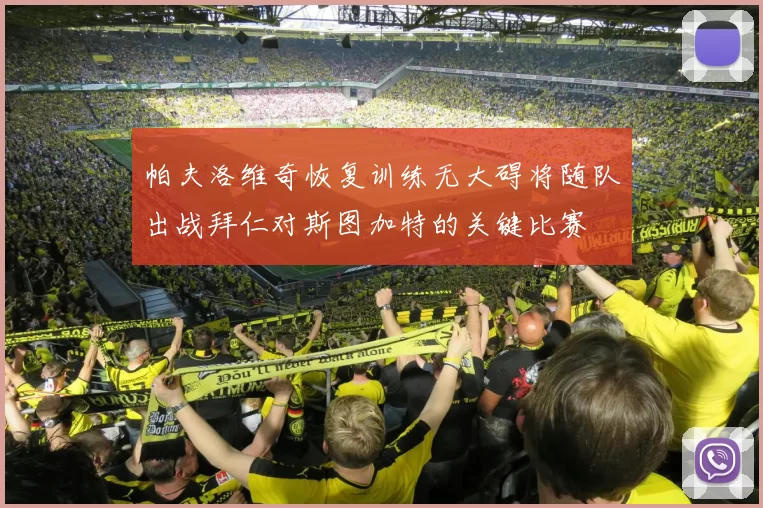 帕夫洛维奇恢复训练无大碍将随队出战拜仁对斯图加特的关键比赛