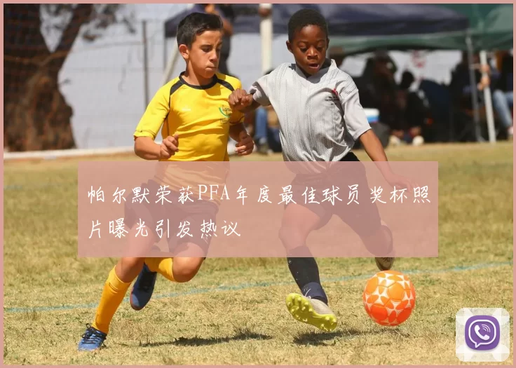 帕尔默荣获PFA年度最佳球员奖杯照片曝光引发热议
