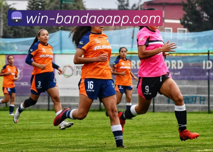 米博体育APP 封面图